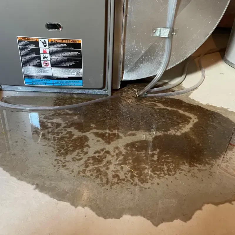 Appliance Leak Cleanup in Stillman Valley, IL